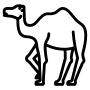 Camel Safari (Duration – 20 To 30 Mint)